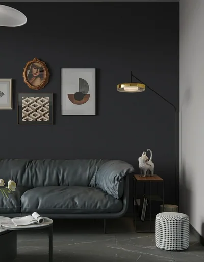 Dark Grey Matte, picture 3