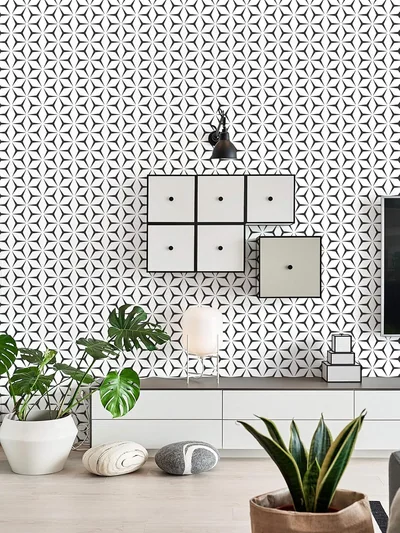 Black and White Star Geometric, picture 4